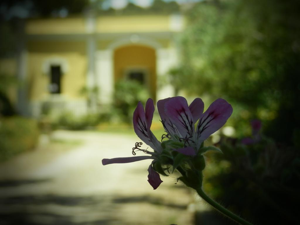 Dimora Relais Excelsa Hotel Gallipoli Exterior photo